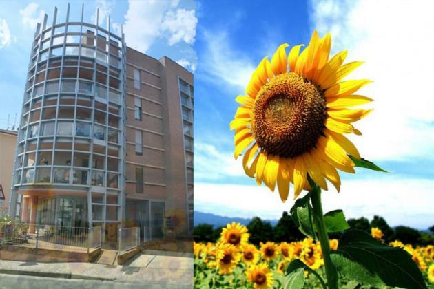 Casa Dei Girasoli * Perugia
